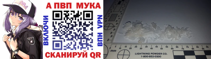 Alfa_PVP СК Приволжский